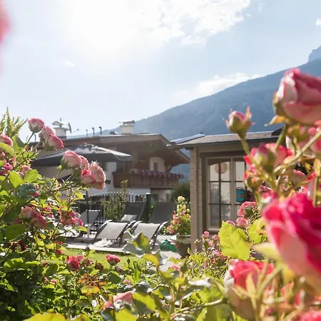 Alphof 4 Sterne Hotel 4*