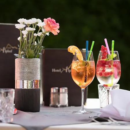 Alphof Stubaital Hotel
