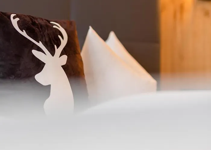 Alphof Stubaital Hotel