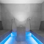 Alphof Stubaital 호텔 플메스